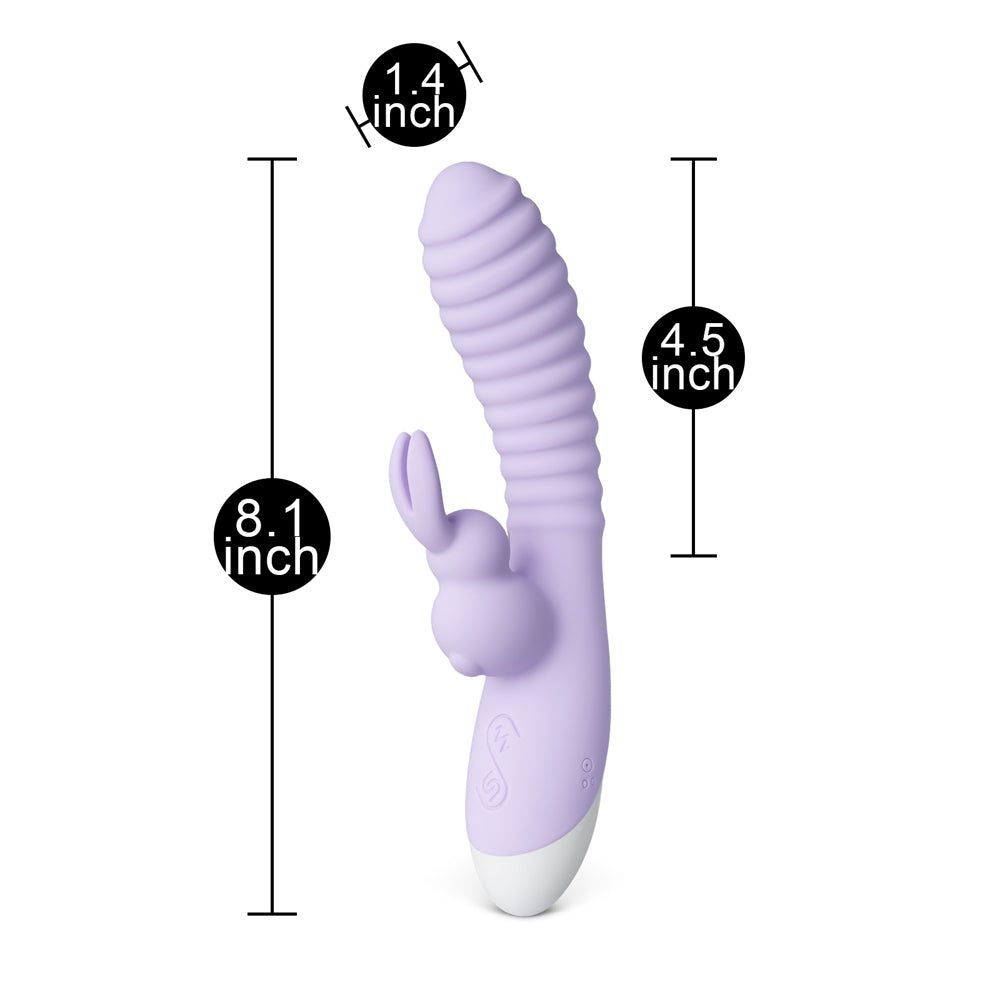 Vibrators, Sex Toy Kits and Sex Toys at Cloud9Adults - Rechargeable 12Speed Rabbit Vibrator Purple - Buy Sex Toys Online