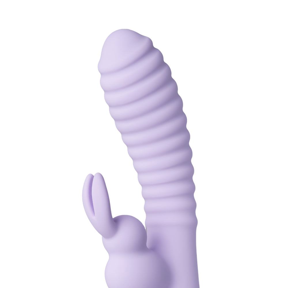Vibrators, Sex Toy Kits and Sex Toys at Cloud9Adults - Rechargeable 12Speed Rabbit Vibrator Purple - Buy Sex Toys Online
