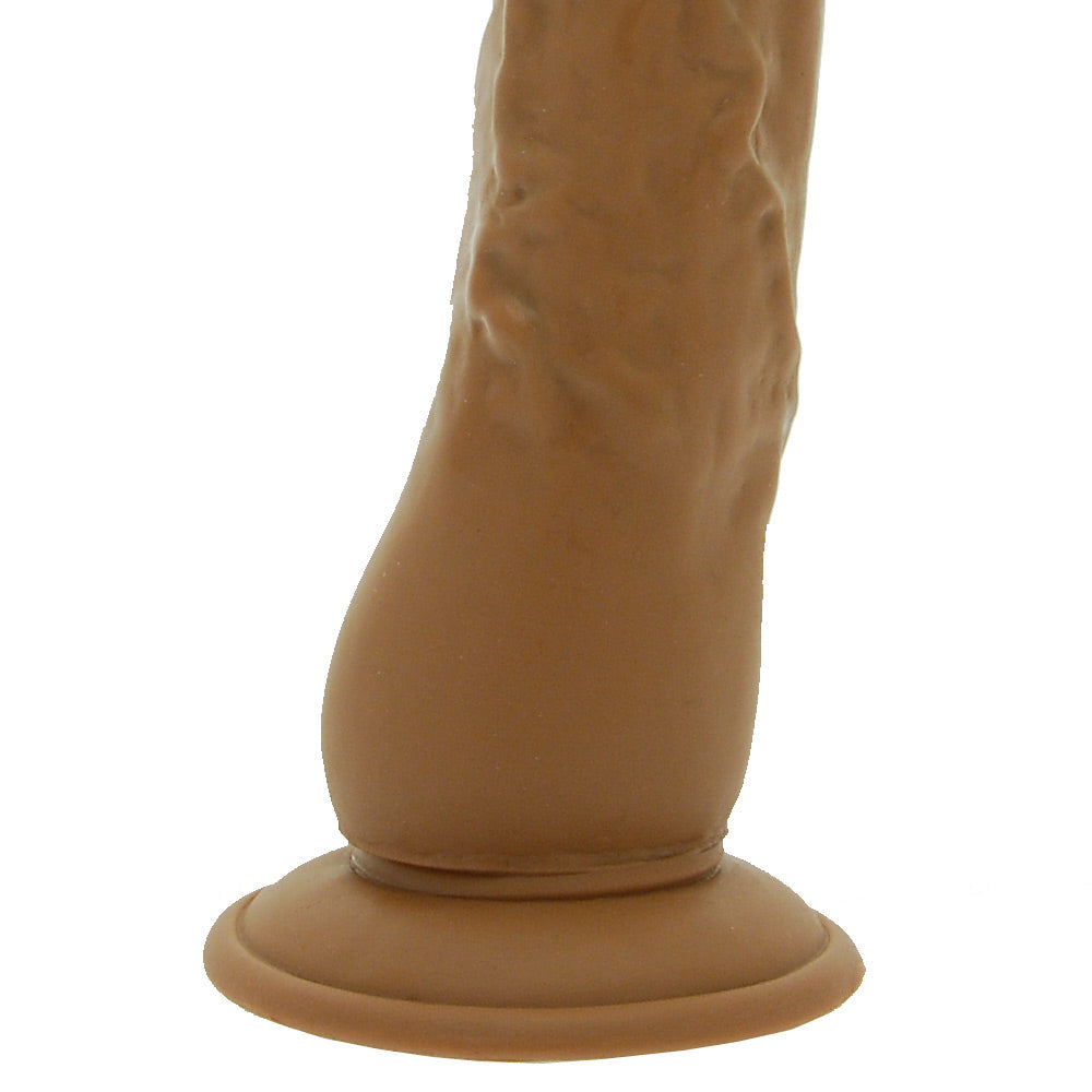 Vibrators, Sex Toy Kits and Sex Toys at Cloud9Adults - Latin Lover World Of Dongs - Buy Sex Toys Online