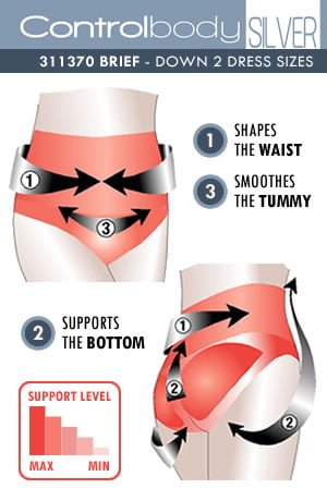 Vibrators, Sex Toy Kits and Sex Toys at Cloud9Adults - Control Body 311370 High Waist Shaping Brief Skin - Buy Sex Toys Online