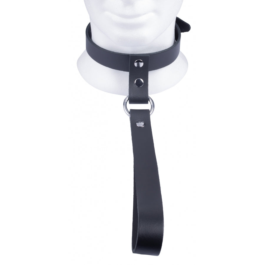 Vibrators, Sex Toy Kits and Sex Toys at Cloud9Adults - The Red Leather Collar with Short Leash - Buy Sex Toys Online