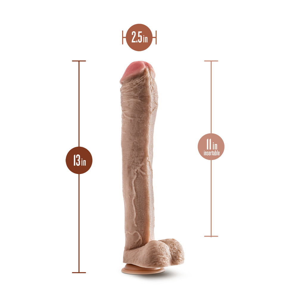 Vibrators, Sex Toy Kits and Sex Toys at Cloud9Adults - Dr. Skin Mr. Ed 13 Inch Dildo With Balls - Buy Sex Toys Online