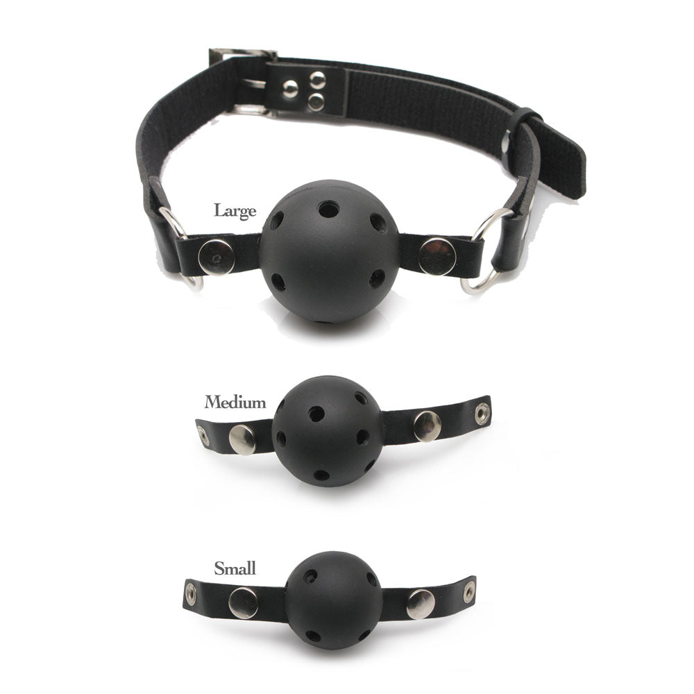 Vibrators, Sex Toy Kits and Sex Toys at Cloud9Adults - Fetish Fantasy Series Ball Gag Training System - Buy Sex Toys Online