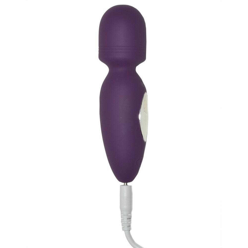 Vibrators, Sex Toy Kits and Sex Toys at Cloud9Adults - Rimba Valencia Mini Wand Vibrator Purple - Buy Sex Toys Online