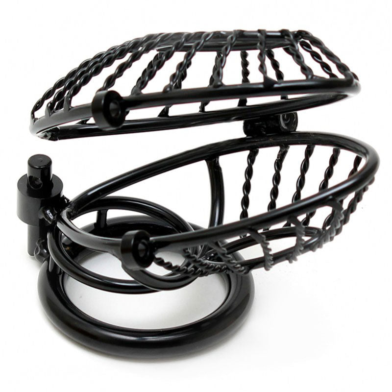 Vibrators, Sex Toy Kits and Sex Toys at Cloud9Adults - Opening Metal Male Chastity Device With 2 Padlocks - Buy Sex Toys Online