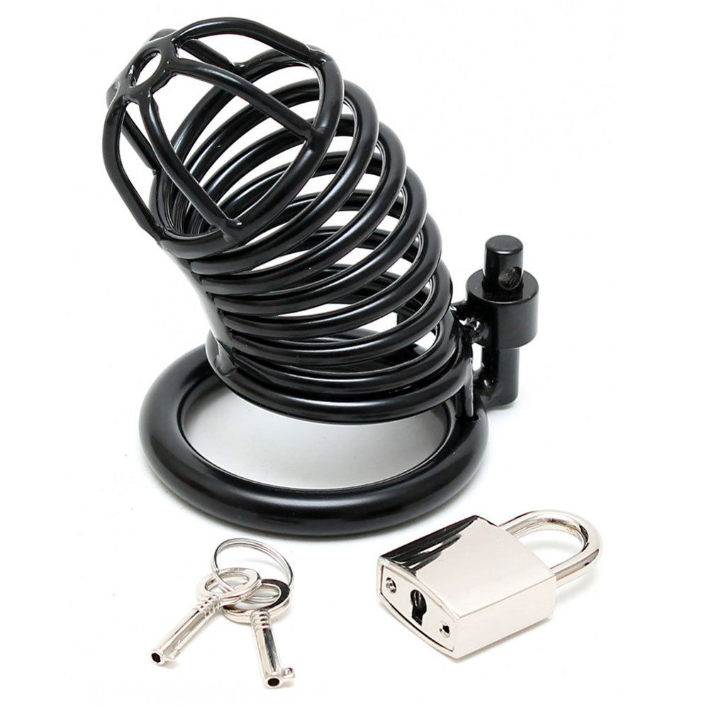 Vibrators, Sex Toy Kits and Sex Toys at Cloud9Adults - Metal Male Chastity Device With Padlock - Buy Sex Toys Online
