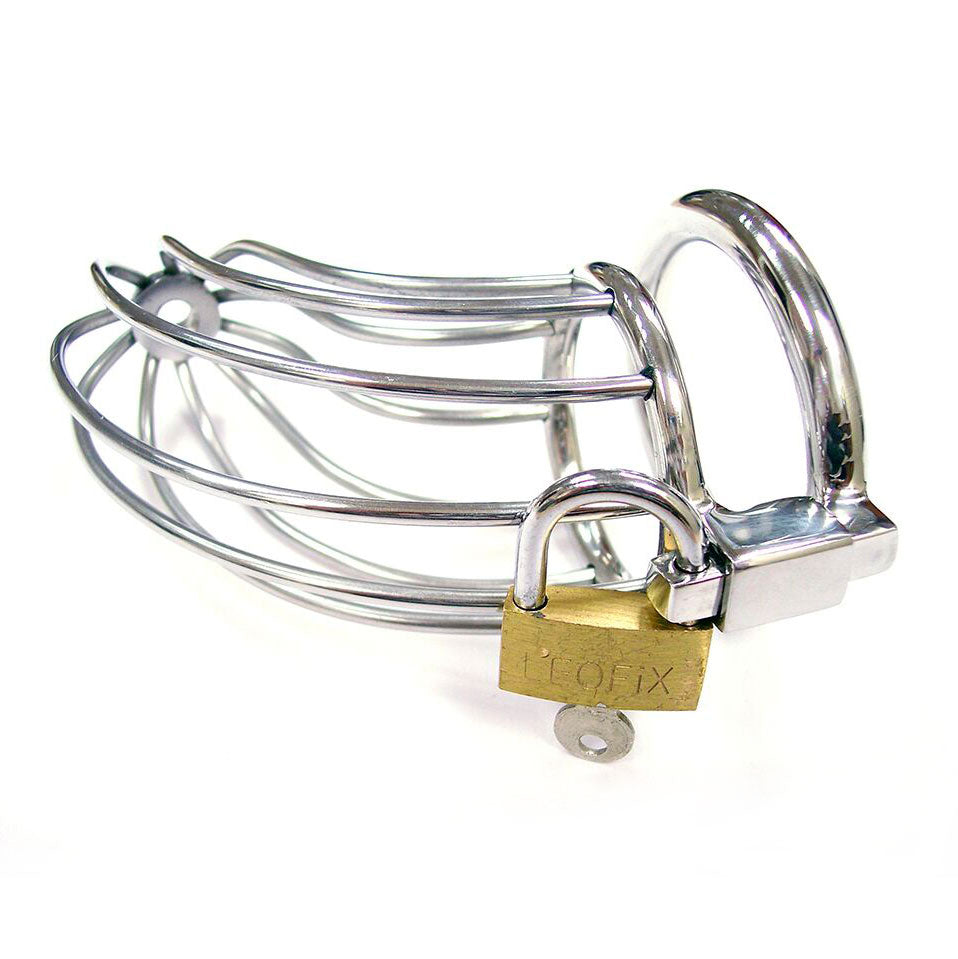 Vibrators, Sex Toy Kits and Sex Toys at Cloud9Adults - Rouge Stainless Steel Chasity Cock Cage With Padlock - Buy Sex Toys Online