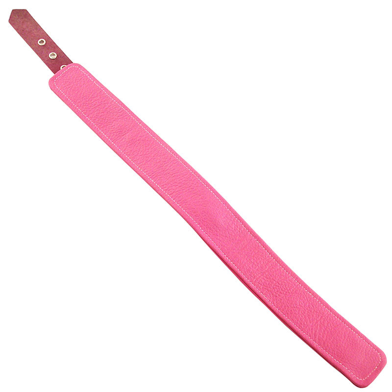 Vibrators, Sex Toy Kits and Sex Toys at Cloud9Adults - Rouge Garments Plain Pink Leather Collar - Buy Sex Toys Online