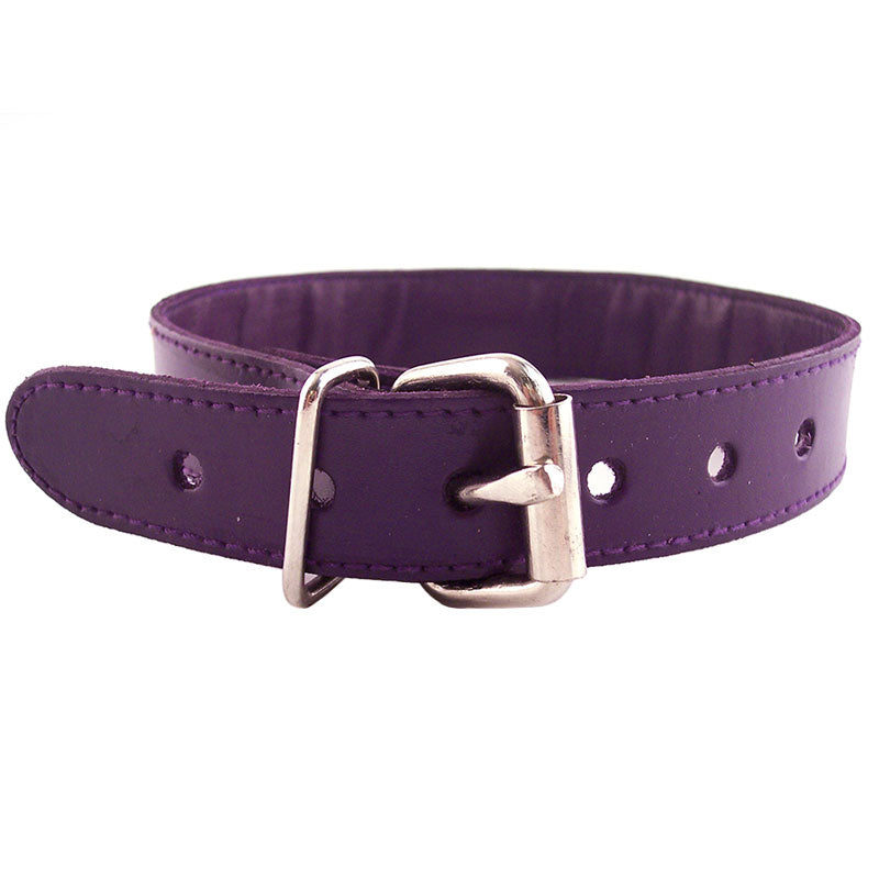 Vibrators, Sex Toy Kits and Sex Toys at Cloud9Adults - Rouge Garments Purple Studded ORing Studded Collar - Buy Sex Toys Online