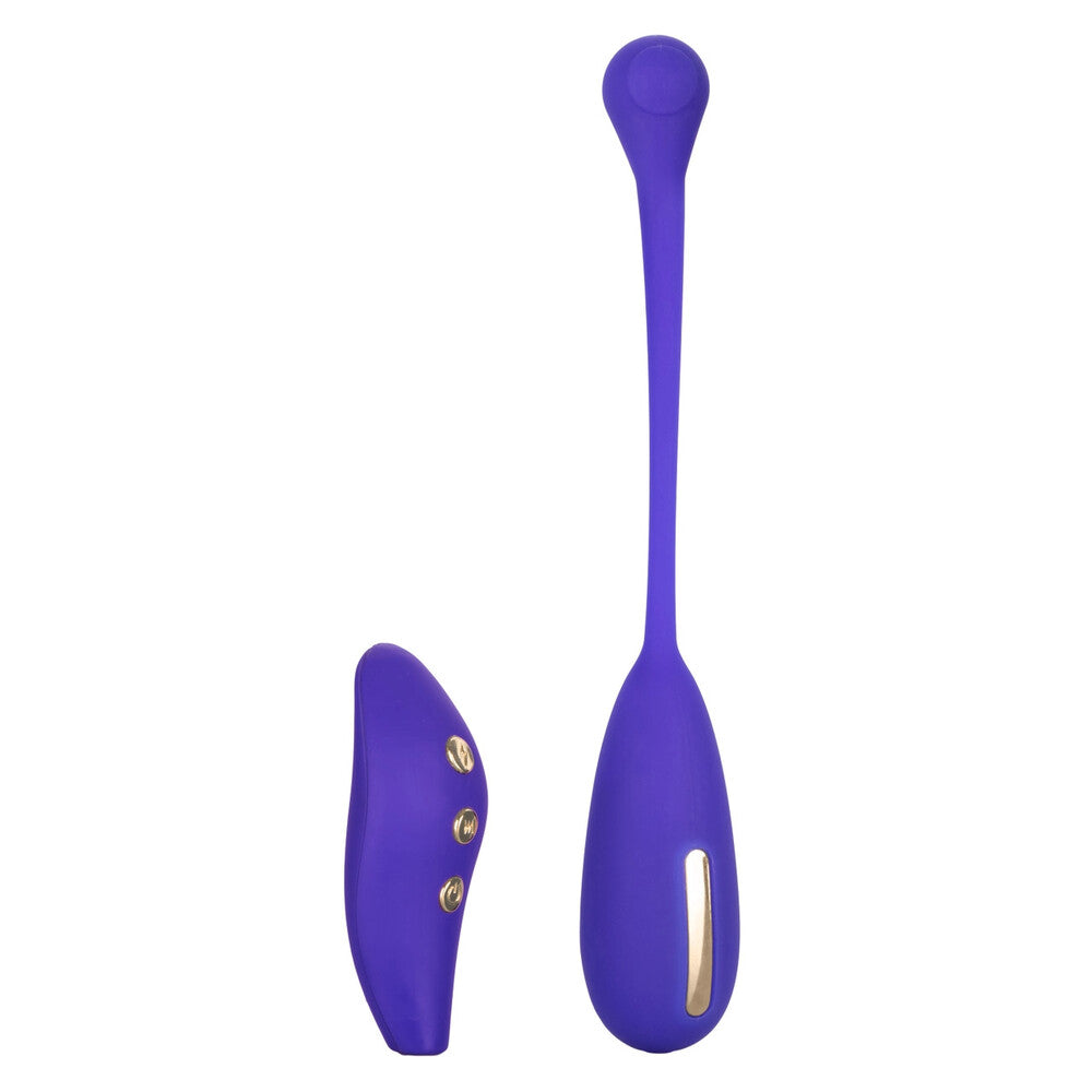 Vibrators, Sex Toy Kits and Sex Toys at Cloud9Adults - Impulse Intimate Estim Remote Kegel Exerciser - Buy Sex Toys Online