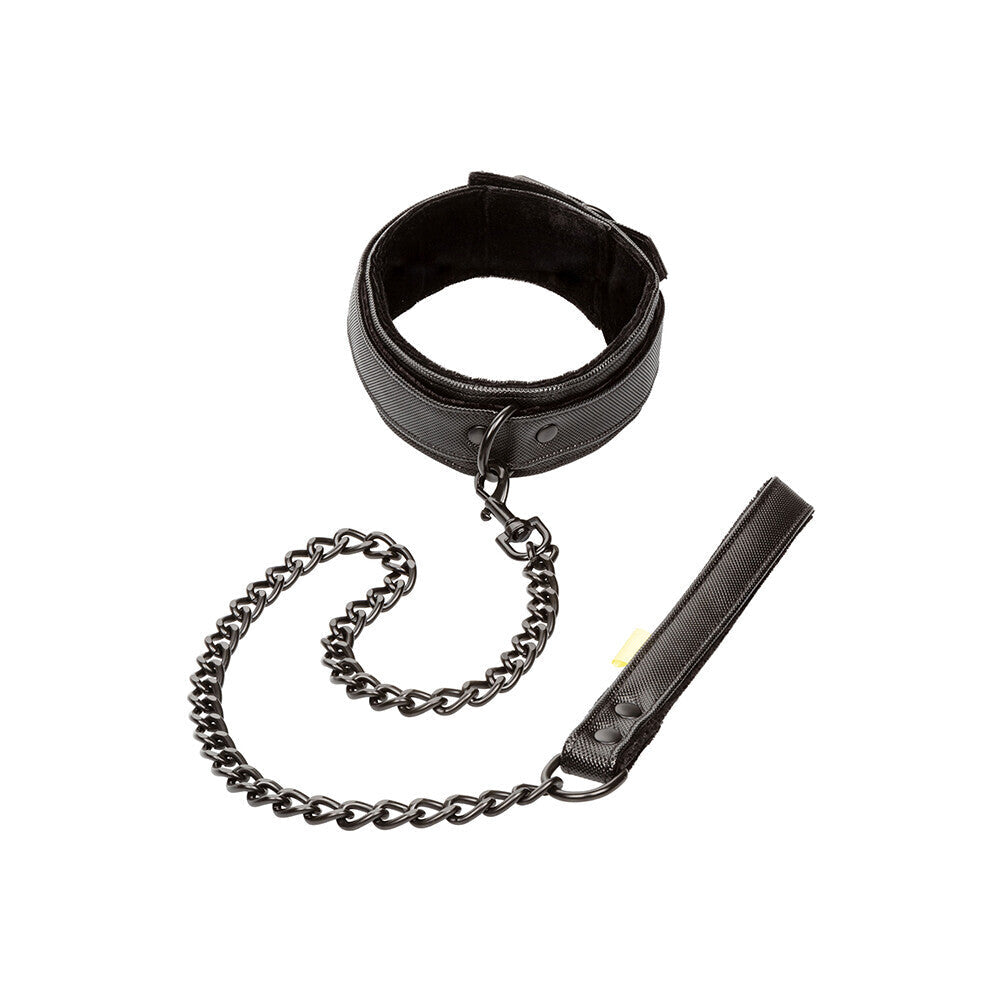 Vibrators, Sex Toy Kits and Sex Toys at Cloud9Adults - Boundless Collar and Leash - Buy Sex Toys Online