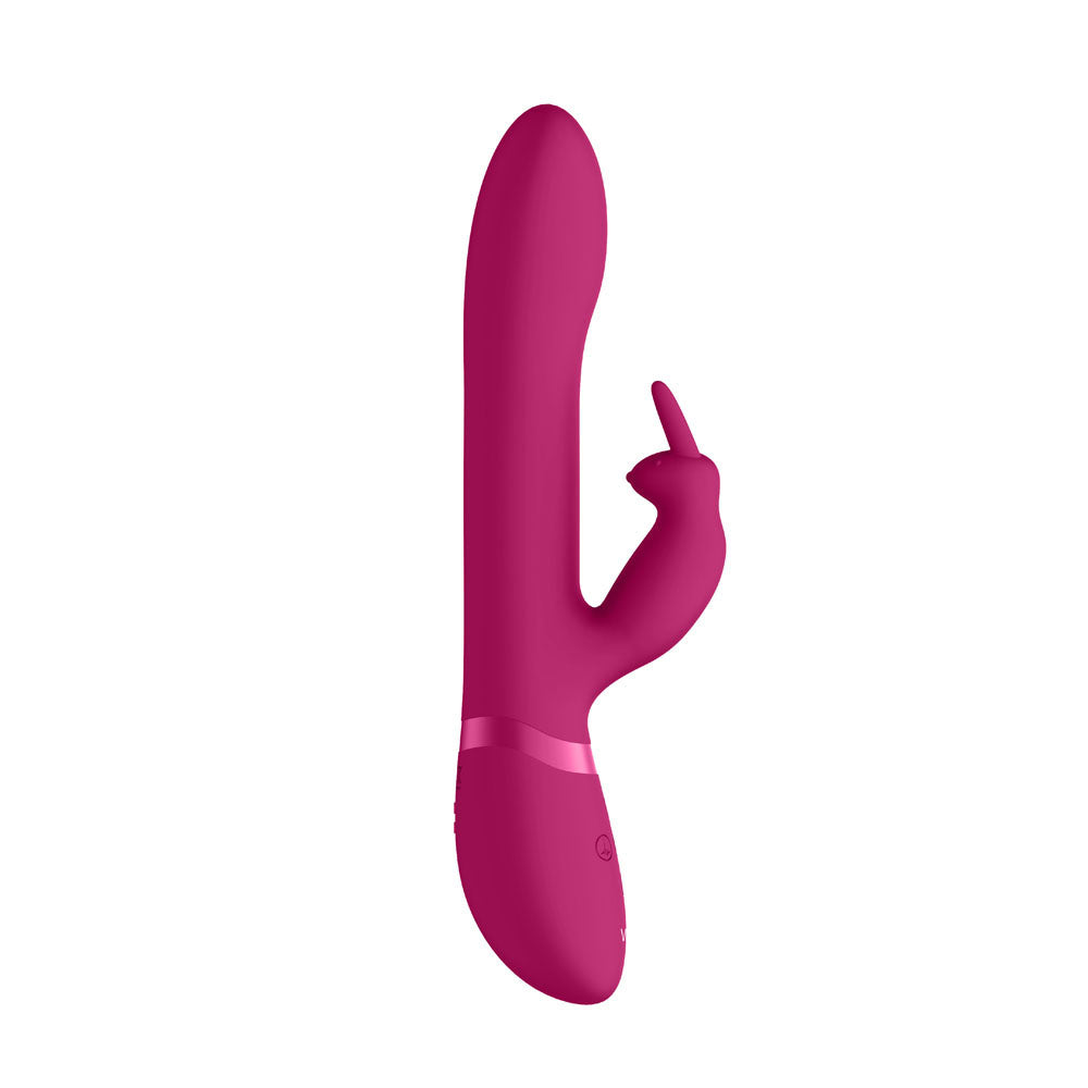 Vibrators, Sex Toy Kits and Sex Toys at Cloud9Adults - Vive Amoris Pink Rabbit Vibrator With Stimulating Beads - Buy Sex Toys Online