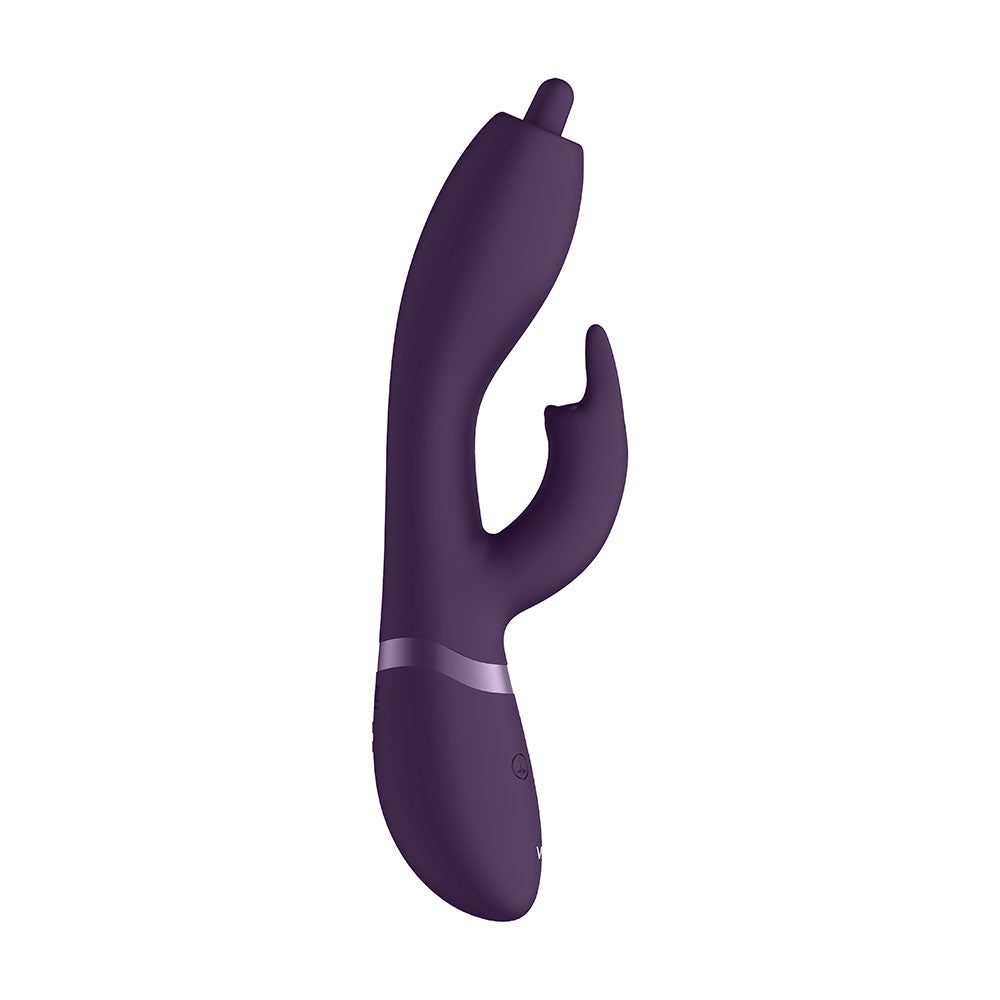 Vibrators, Sex Toy Kits and Sex Toys at Cloud9Adults - Vive Nilo Purple Pinpoint Rotating G Spot Rabbit - Buy Sex Toys Online