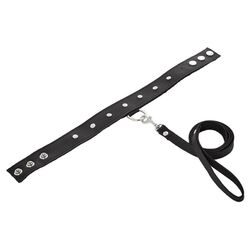 Vibrators, Sex Toy Kits and Sex Toys at Cloud9Adults - SportSheets Leather Leash And Collar - Buy Sex Toys Online