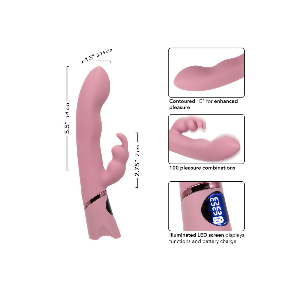 Vibrators, Sex Toy Kits and Sex Toys at Cloud9Adults - Orgasmatron Digital GBunny Vibrator - Buy Sex Toys Online