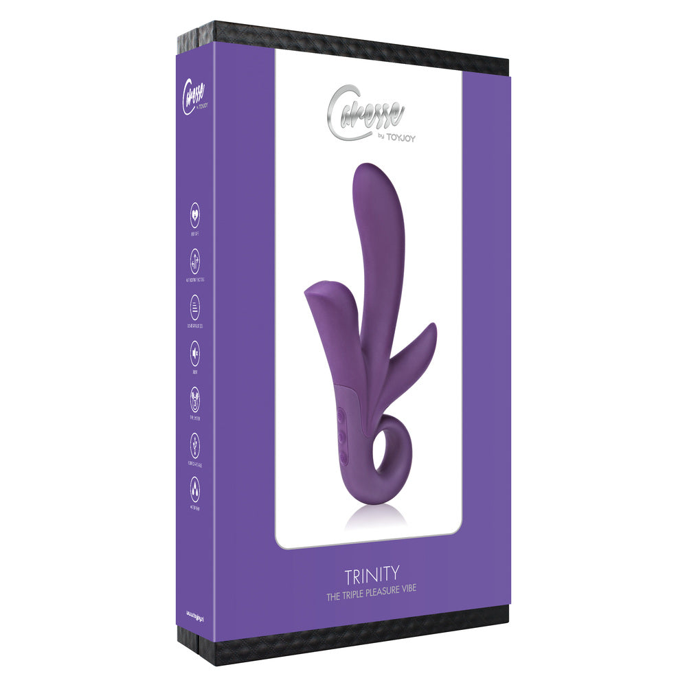 Vibrators, Sex Toy Kits and Sex Toys at Cloud9Adults - ToyJoy Trinity Triple Pleasure Vibrator Purple - Buy Sex Toys Online