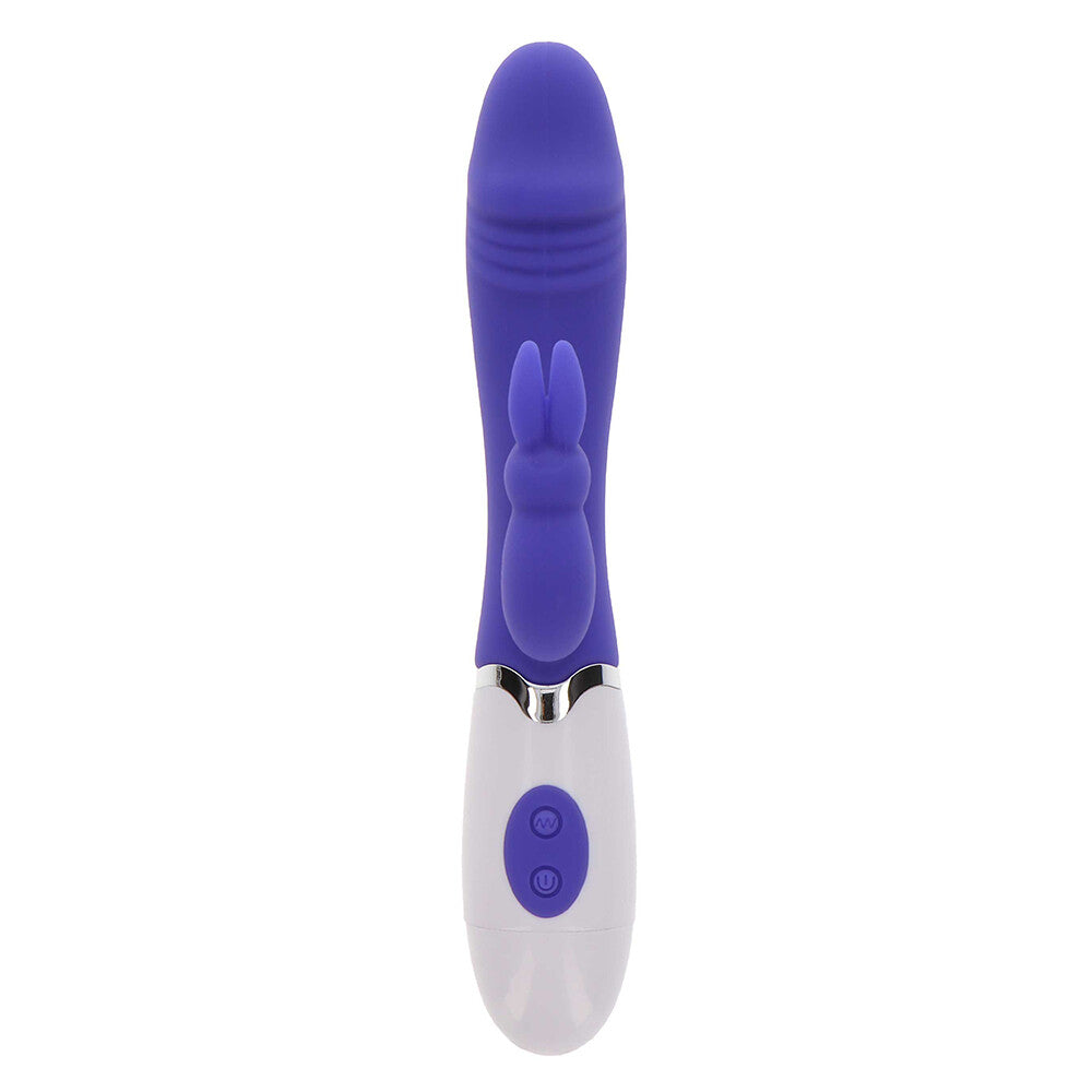 Vibrators, Sex Toy Kits and Sex Toys at Cloud9Adults - ToyJoy Funky Rabbit Vibrator Purple - Buy Sex Toys Online
