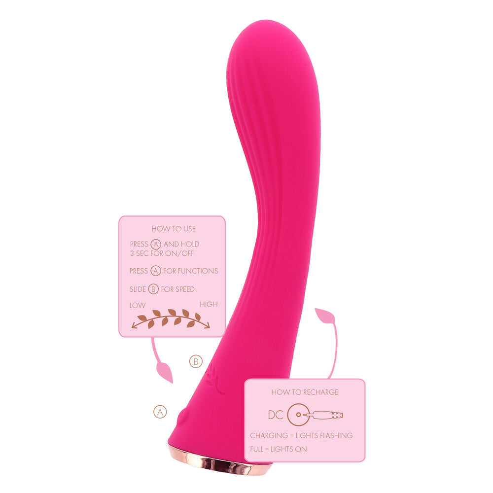 Vibrators, Sex Toy Kits and Sex Toys at Cloud9Adults - ToyJoy Ivy Rose Vibrator - Buy Sex Toys Online