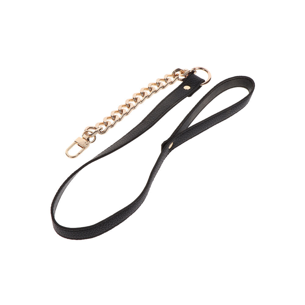Vibrators, Sex Toy Kits and Sex Toys at Cloud9Adults - Taboom Dona Statement Leash - Buy Sex Toys Online
