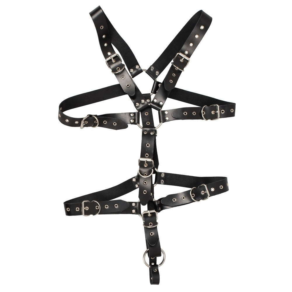 Vibrators, Sex Toy Kits and Sex Toys at Cloud9Adults - Mens Leather Adjustable Harness With Cock Ring - Buy Sex Toys Online