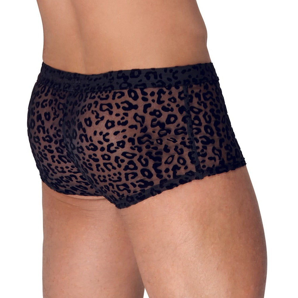 Vibrators, Sex Toy Kits and Sex Toys at Cloud9Adults - Noir Sheer Animal Print Pants - Buy Sex Toys Online