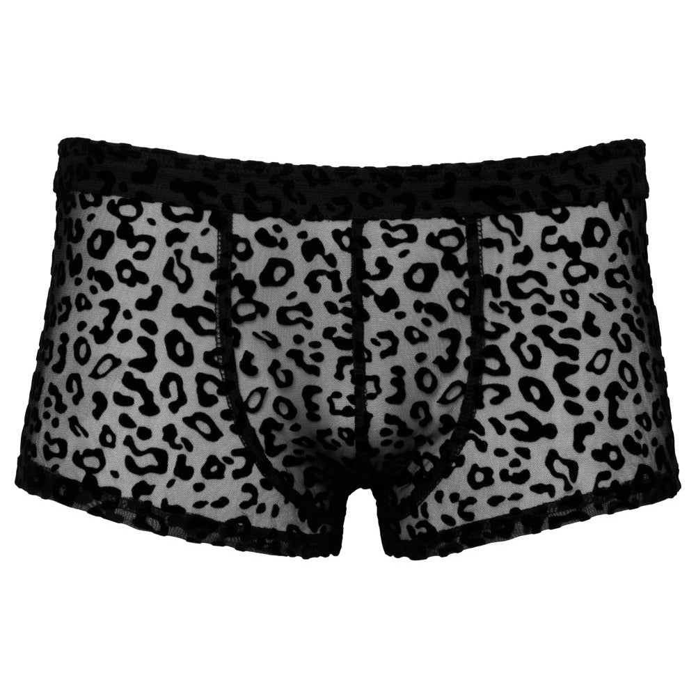 Vibrators, Sex Toy Kits and Sex Toys at Cloud9Adults - Noir Sheer Animal Print Pants - Buy Sex Toys Online