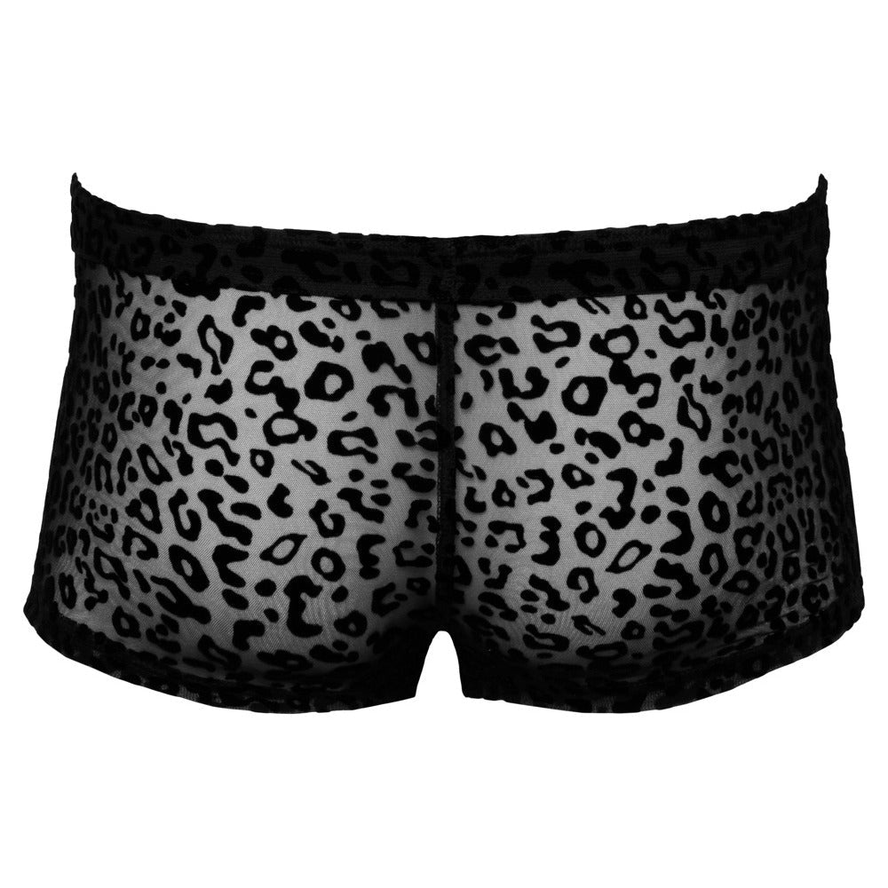 Vibrators, Sex Toy Kits and Sex Toys at Cloud9Adults - Noir Sheer Animal Print Pants - Buy Sex Toys Online