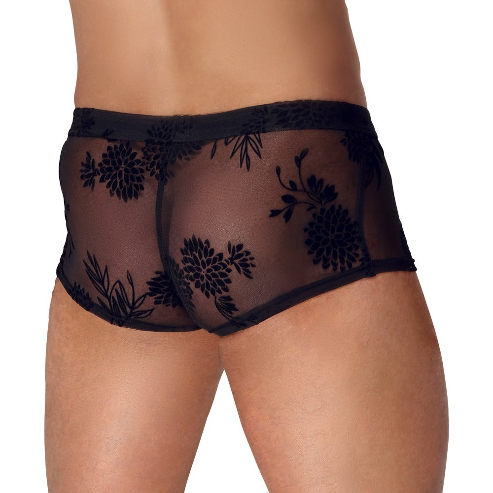 Vibrators, Sex Toy Kits and Sex Toys at Cloud9Adults - Noir Sheer Floral Lace Pants - Buy Sex Toys Online