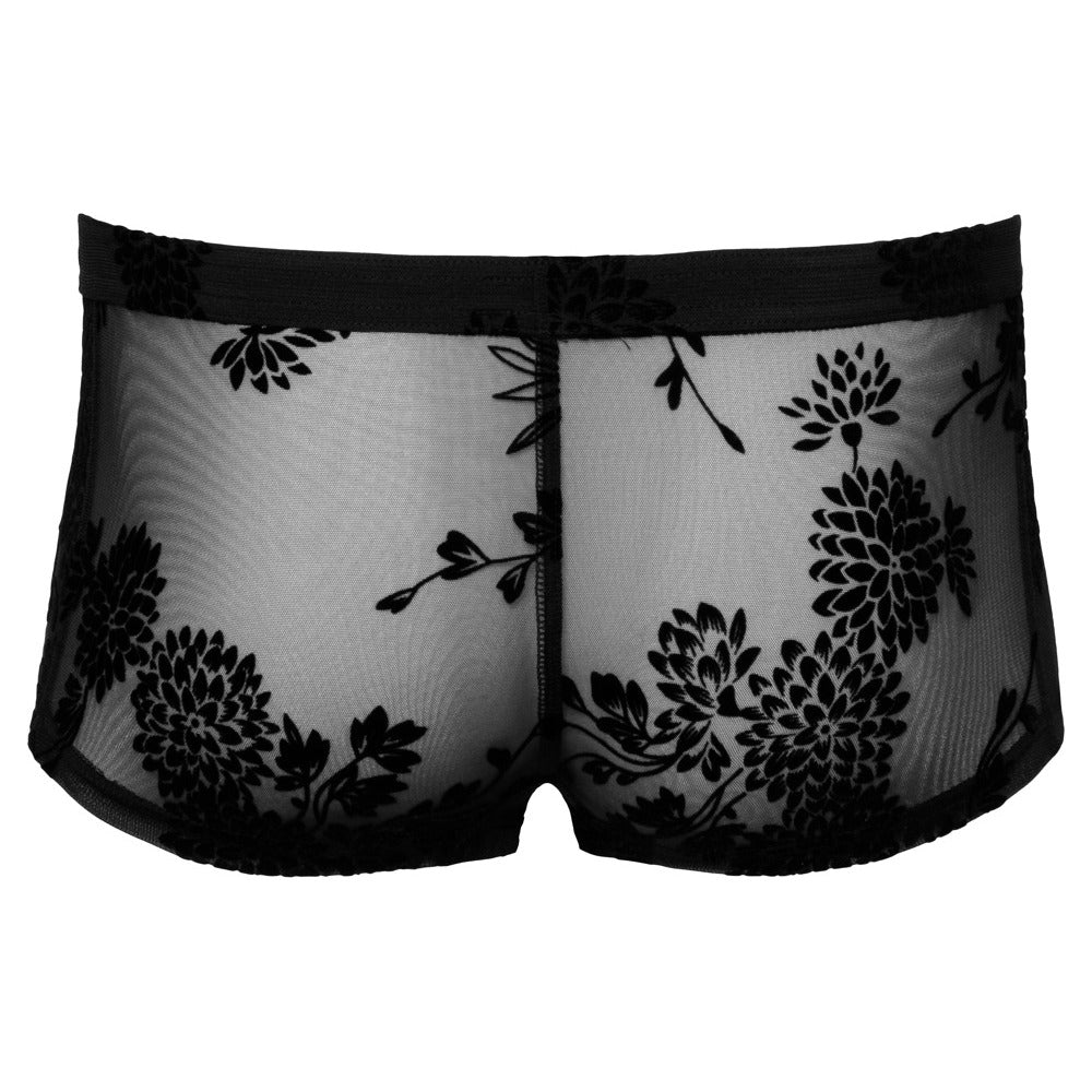 Vibrators, Sex Toy Kits and Sex Toys at Cloud9Adults - Noir Sheer Floral Lace Pants - Buy Sex Toys Online