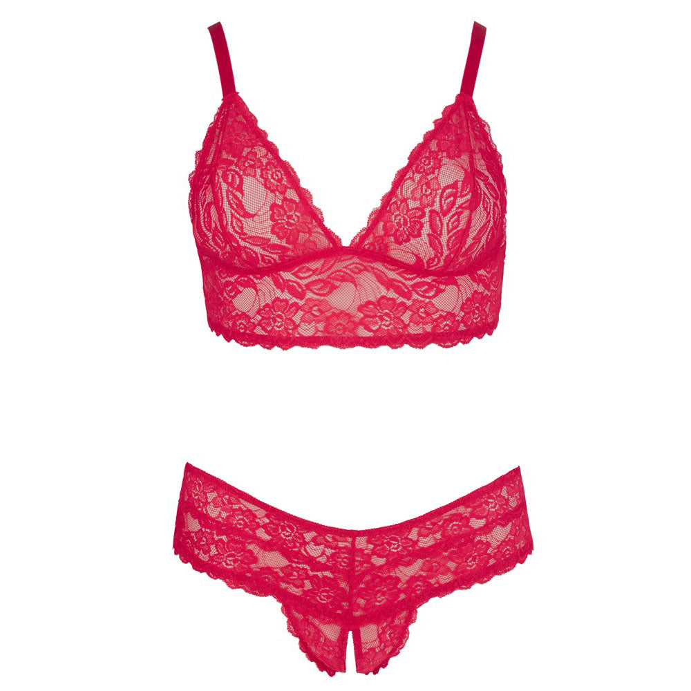Vibrators, Sex Toy Kits and Sex Toys at Cloud9Adults - Cottelli Plus Size Red Lace Bra And Briefs - Buy Sex Toys Online