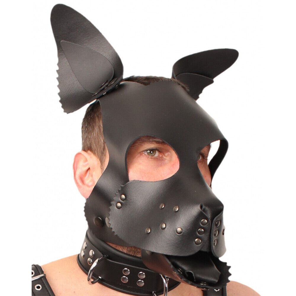 Vibrators, Sex Toy Kits and Sex Toys at Cloud9Adults - Red Leather Puppy Dog Mask - Buy Sex Toys Online