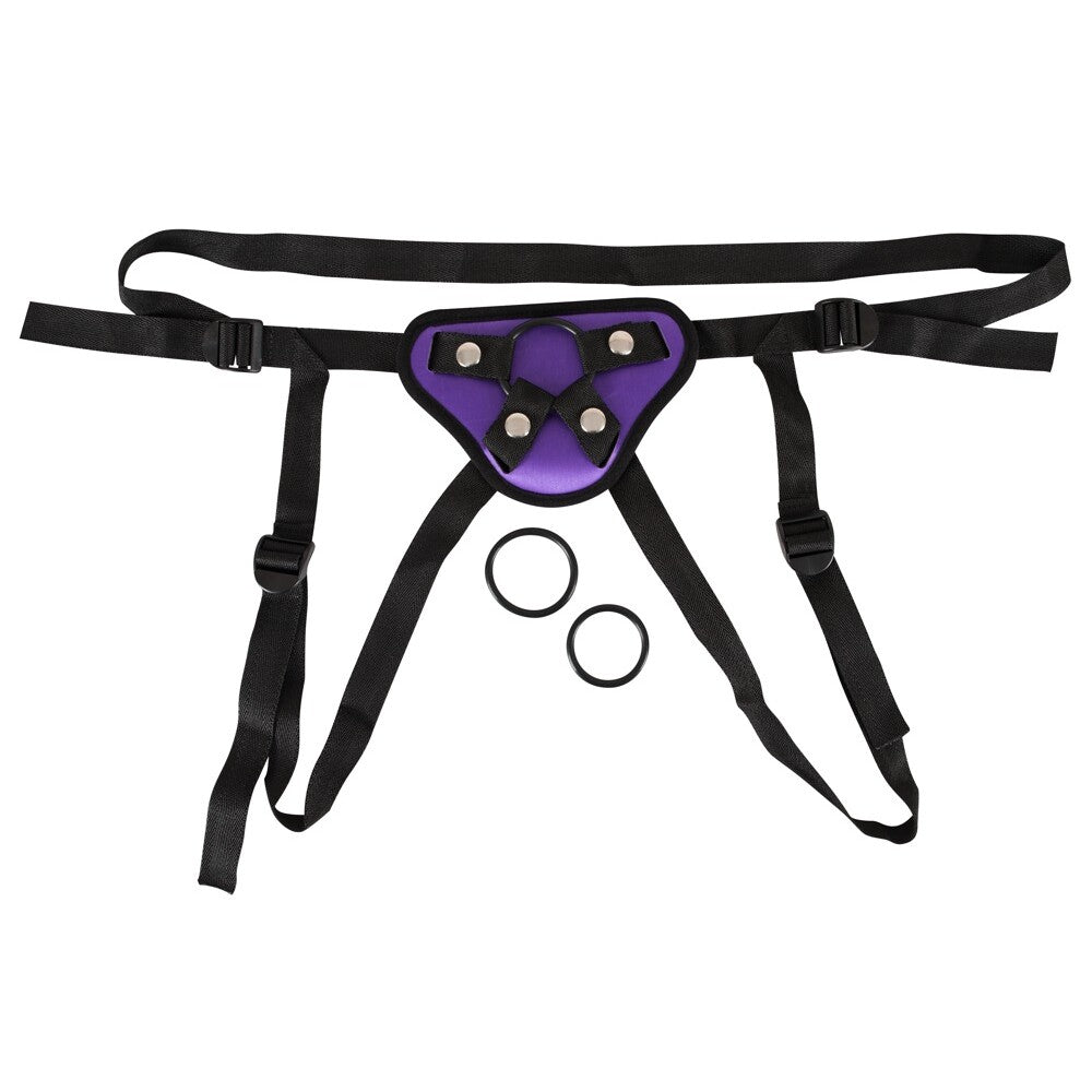 Vibrators, Sex Toy Kits and Sex Toys at Cloud9Adults - Purple And Black Universal Harness - Buy Sex Toys Online