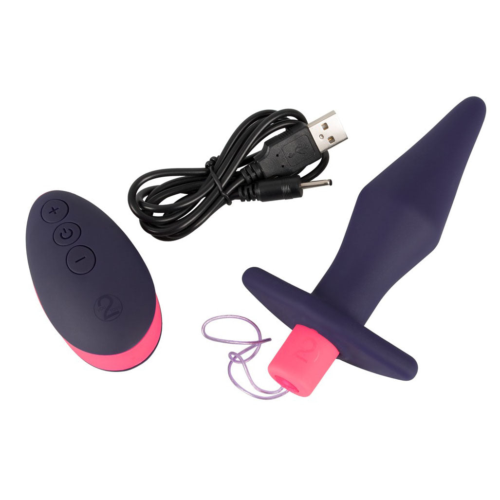 Vibrators, Sex Toy Kits and Sex Toys at Cloud9Adults - Rechargeable Remote Control Butt Plug - Buy Sex Toys Online
