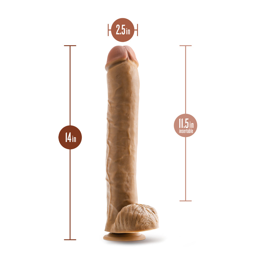 Vibrators, Sex Toy Kits and Sex Toys at Cloud9Adults - Dr. Skin Dr. Michael 14 Inch Dildo with Balls - Buy Sex Toys Online