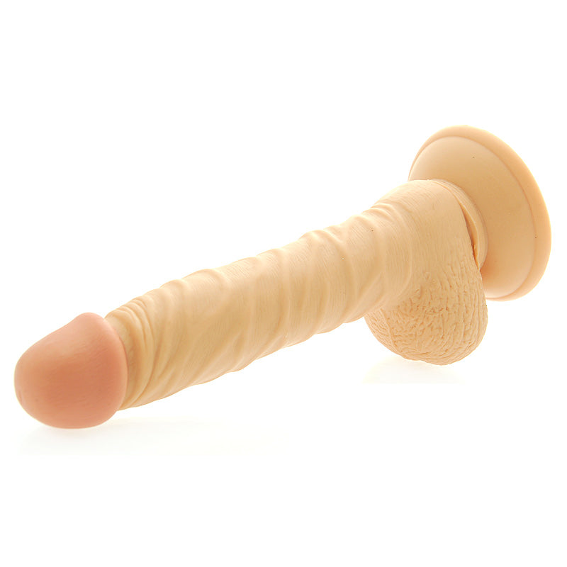 Vibrators, Sex Toy Kits and Sex Toys at Cloud9Adults - 8 Inch Realistic Dong with Scrotum - Buy Sex Toys Online