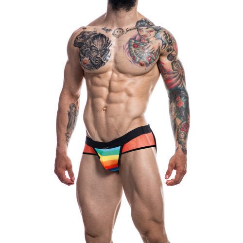 Vibrators, Sex Toy Kits and Sex Toys at Cloud9Adults - C4M Mixed Jockstrap Rainbow Small - Buy Sex Toys Online