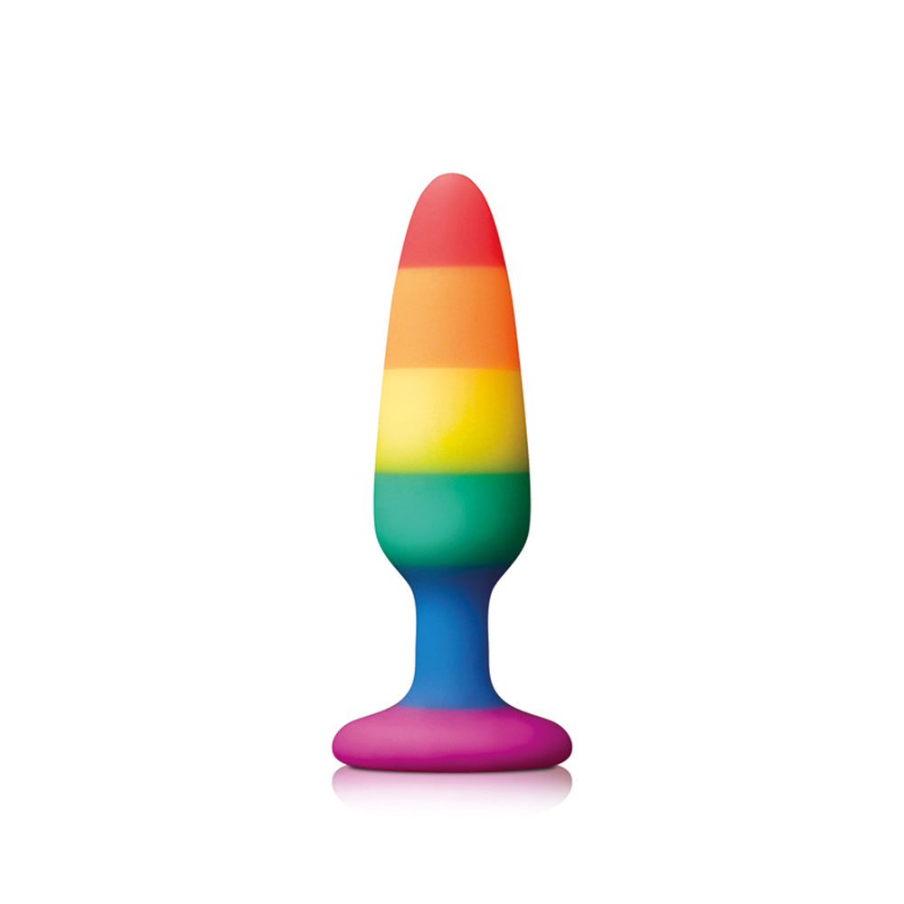 Vibrators, Sex Toy Kits and Sex Toys at Cloud9Adults - Pride Pleasure Plug Rainbow Small - Buy Sex Toys Online