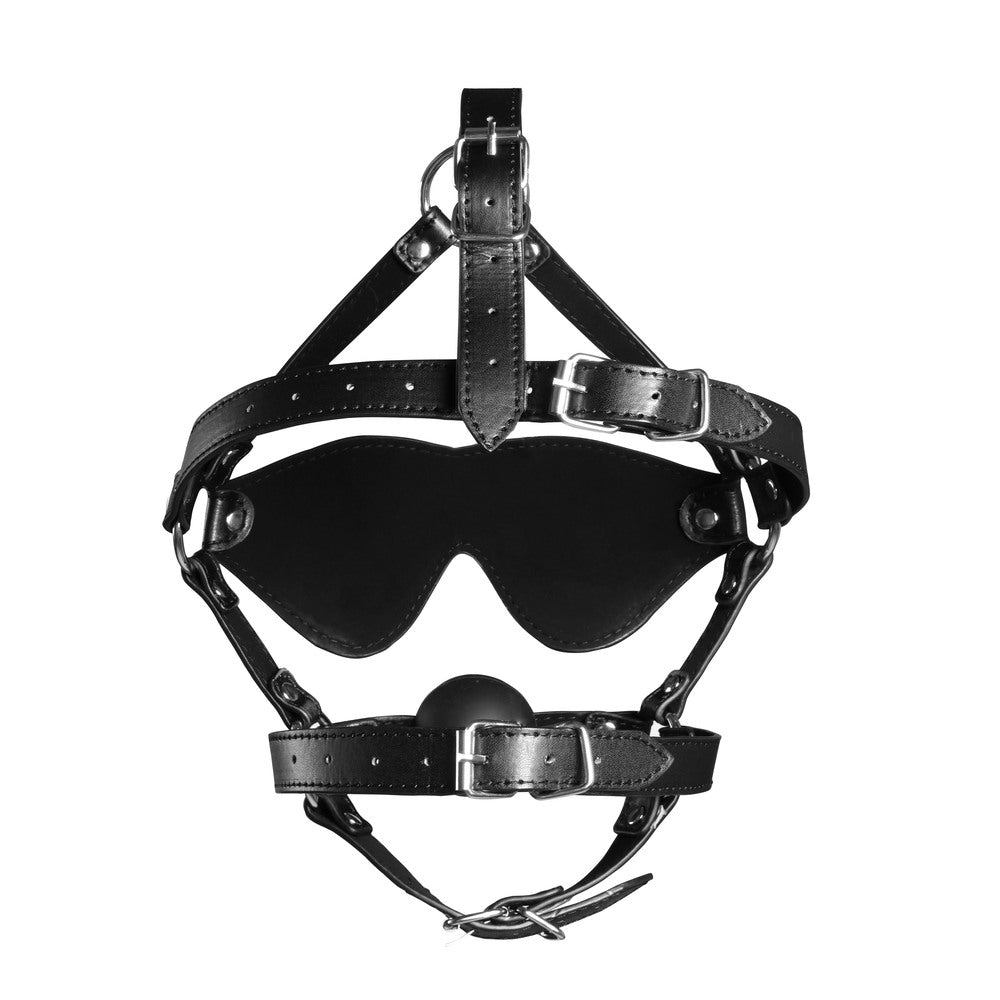 Vibrators, Sex Toy Kits and Sex Toys at Cloud9Adults - Ouch Xtreme Blindfolded Harness With Solid Ball Gag - Buy Sex Toys Online