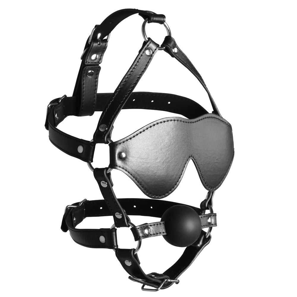 Ouch Xtreme Blindfolded Harness With Solid Ball Gag | Cloud9Adults