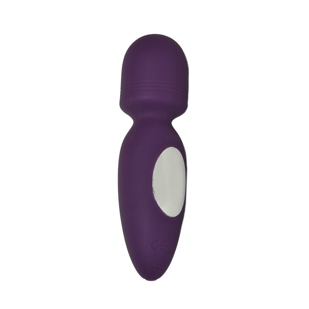 Vibrators, Sex Toy Kits and Sex Toys at Cloud9Adults - Rimba Valencia Mini Wand Vibrator Purple - Buy Sex Toys Online