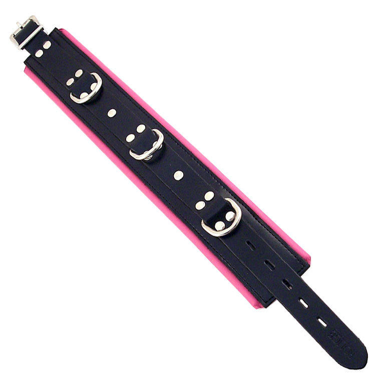 Vibrators, Sex Toy Kits and Sex Toys at Cloud9Adults - Rouge Garments Black And Pink Padded Collar - Buy Sex Toys Online