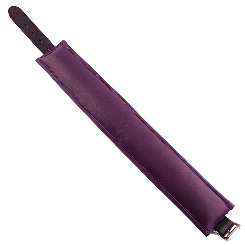 Vibrators, Sex Toy Kits and Sex Toys at Cloud9Adults - Rouge Garments Black And Purple Padded Collar - Buy Sex Toys Online