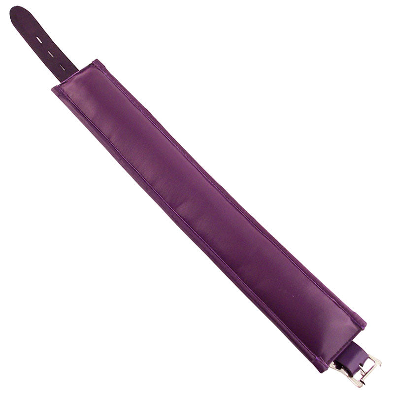 Vibrators, Sex Toy Kits and Sex Toys at Cloud9Adults - Rouge Garments Purple Padded Collar - Buy Sex Toys Online
