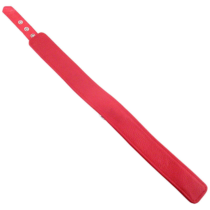 Vibrators, Sex Toy Kits and Sex Toys at Cloud9Adults - Rouge Garments Plain Red Leather Collar - Buy Sex Toys Online