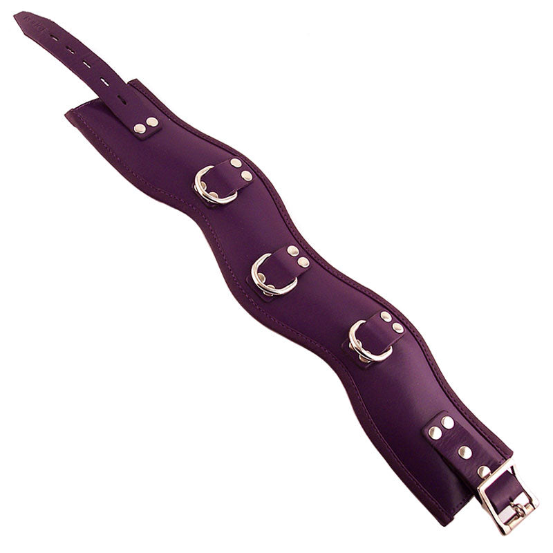 Vibrators, Sex Toy Kits and Sex Toys at Cloud9Adults - Rouge Garments Purple Padded Posture Collar - Buy Sex Toys Online