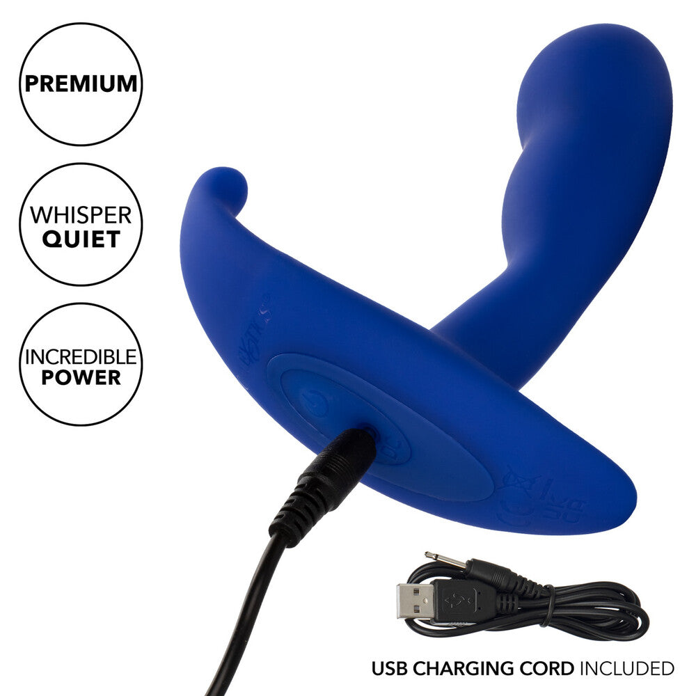 Vibrators, Sex Toy Kits and Sex Toys at Cloud9Adults - Admiral Advanced Curved Probe - Buy Sex Toys Online