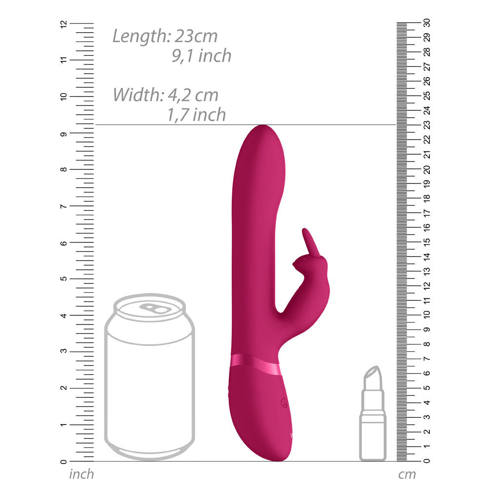 Vibrators, Sex Toy Kits and Sex Toys at Cloud9Adults - Vive Amoris Pink Rabbit Vibrator With Stimulating Beads - Buy Sex Toys Online