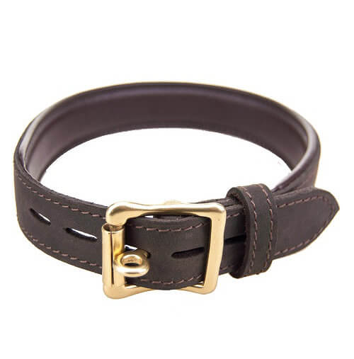 Vibrators, Sex Toy Kits and Sex Toys at Cloud9Adults - BOUND Nubuck Leather Choker with 'O' Ring - Buy Sex Toys Online