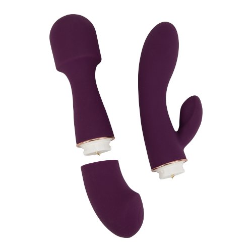 Vibrators, Sex Toy Kits and Sex Toys at Cloud9Adults - Loving Joy DUA Interchangeable Vibrator with 2 Attachments - Buy Sex Toys Online