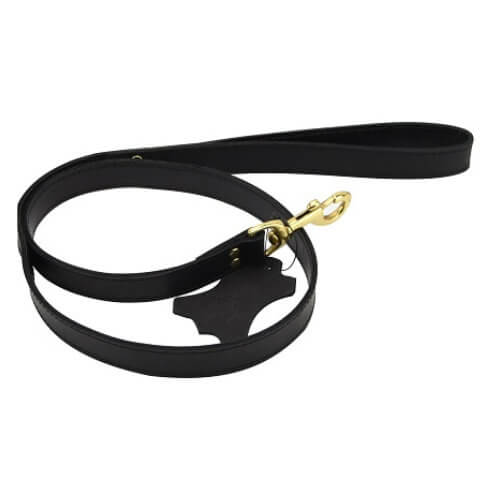 Vibrators, Sex Toy Kits and Sex Toys at Cloud9Adults - Bound Noir Nubuck Leather Leash - Buy Sex Toys Online